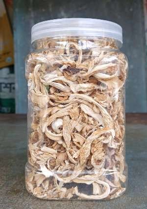 Dry Mushroom