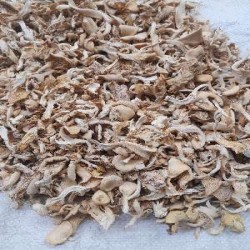 Dry mushroom